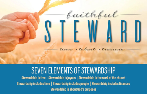 Stewardship Committee 7 elements of stewardship