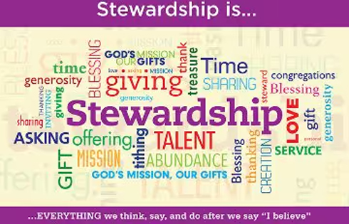 Stewardship Committee stewardship is wordcloud rgb 750px